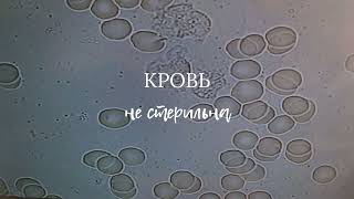 КРОВЬ НЕ СТЕРИЛЬНА