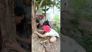 Buti natulungan si Ate #sancarlosviners #comedyvideos