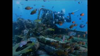 What it looks like diving in Zambuanguita, Negros Oriental