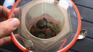 coin tumbling metal detecting, coins ,copper coins