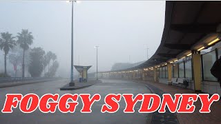 FOGGY MORNING IN SYDNEY