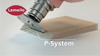 Lamello P-System: Profilnut in Gehrung mit P-System CNC Nutfräser und Aggregat oder 5-Achs-Maschine