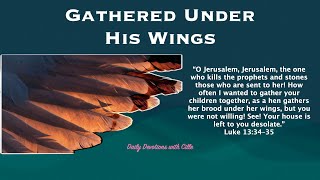 Gathered Under His Wings | Luke 13:34–35 | Daily Devotions | Pastor Joseph Prince #devotional