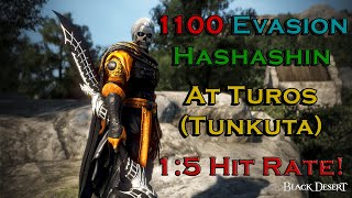 TUNKUTA (TUROS) VS 1100 EVASION HASHASHIN (368 DP)