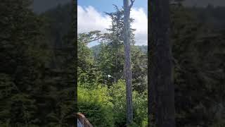 Langara Fishing Lodge, Haida Gwaii (video 3)