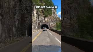 Tunnels on Stevens Canyon Rd, Washington state #scenicdrive #shorts