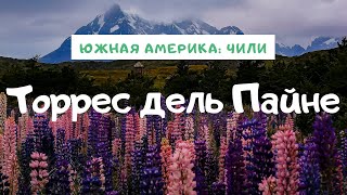 Торрес дель Пайне - один день в парке