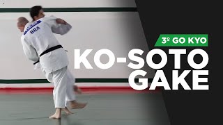 KO-SOTO-GAKE - 3º Go Kyo Judô