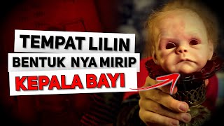 5 YOUTUBER YANG MEMBELI MYSTERY BOX DARI DEEP WEB (PART 15) | DEEP WEB SERIES MYSTERY BOX