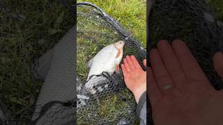 Момент на рыбалке #fishing #shorts