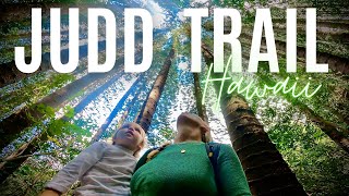 This Hike is a Local Favorite and is Perfect for Little Kids! | Judd Trail Among Best Hikes in Oahu