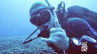 Coral Divers - Lettuce, 5 Mile Reef, Sodwana Bay, South Africa