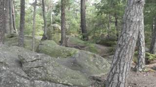 Fontainebleau rocher Cassepot