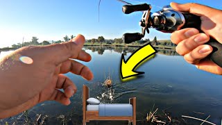 Bed Fishing at Lake Ming, Bakersfield, CA