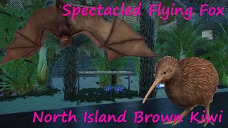 Spectacled Flying Fox and North Island Brown Kiwi - King Island Zoo