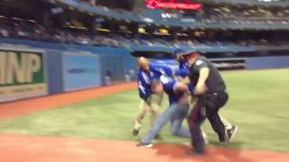 Wild fan at Jays game!