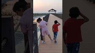 #short#purple island#viral#trending#orignalvoice#ytshorts#indianinqatar#minivlog#qatarlifr