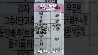 비 오기 전 방제/화상병 3차 및 주경배나무이, 깍지벌레, 흑성병, 적성병 방제