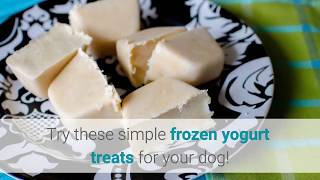 RECIPE: Simple Frozen Yogurt Treats for Your Dog