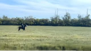 Прибыла гортензия/поездка в село с ВНУКАМИ/#казашкадомашнийвлог