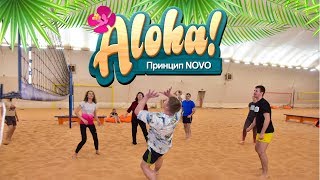 Принцип NOVO • Tropical Party