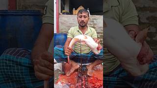 Amazing Pangash Fish Cutting Skills #ytshorts#shorts_videos  #Fish Cutting 💥💥