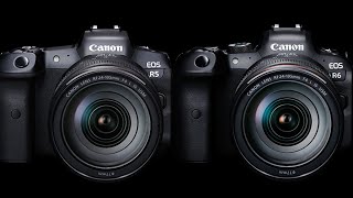 NEW CANON mirrorless full-frame EOS R5 VS R6