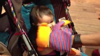 Funny Babies Baby girl laughing at Seasame Street Ernie puppet