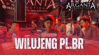 WILUJENG LADRANG Pl. Barang - ARGANTA MUSIC (DEMUNG CAM)