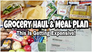 ONE WEEK GROCERY HAUL AND MEAL PLAN | HEB Grocery Haul | Are Groceries on a Budget Still Possible?