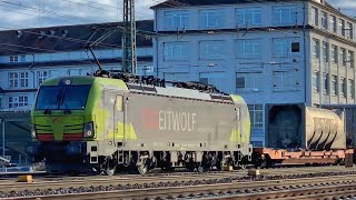 TXLeitwolf, #grünspotting ICE 4 & van-Beethoven-Vectron in Augsburg | Bahnverkehr am 17.01.2020