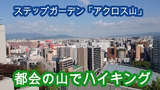 世界の中で最も美しい都会の山　新緑の「アクロス山」福岡ステップガーデン　FUKUOKA　Step Garden Mountain in the City