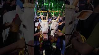 Sankranti Festival 🌴#shorts #shortsviral #viralshorts #sankranthi #shortsvideo #minivlog #ytshorts