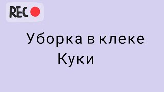 УБОРКА В КЛЕТКЕ КУКИ/КАК УБИРАТСЯ У ХОМЯЧКА?/КУКИ