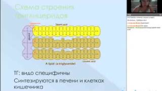 Жиры и их биологическая роль. БАДы линейки Диэнай.