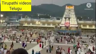 Tirumala Temple Live Video || Tirupati latest Updates today || Tirumala latest  Updates today || TTD