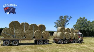 Loading Hay and Dipping more ewes