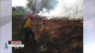 Restaura SEDEMA 500 hectáreas afectadas por incendio en Las Vigas