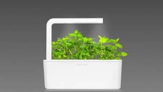 Peppermint time-lapse: Click & Grow Smart Herb Garden