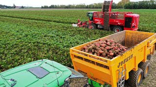 Ruwvoer én krachtvoer van eigen land | Gebr. Aarts in Moerdijk | LG Seeds