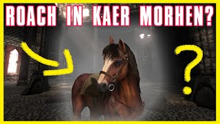 Witcher 3 - How to RIDE ROACH INSIDE THE CASTLE in Kaer Morhen and even start mission while on it !