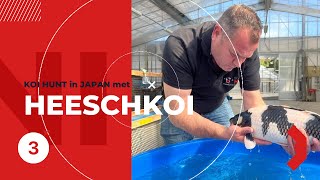 Heeschkoi Koi hunt 2023 deel 3