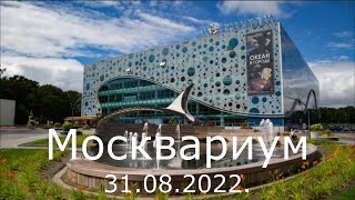 Москвариум. 31 августа 2022 г.