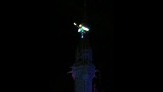 Watch Tinker Bell fly from the Castle at Disney World in the Wishes Fireworks show.