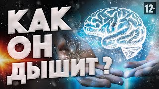 ЧТО СКРЫВАЕТ ДЫХАНИЕ. ВСЯ ПРАВДА О ДЫХАНИИ [12+]