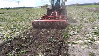 Massey Ferguson 6170 & Gruber EURO-MASZ 😁