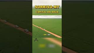 Sorriso: A Capital Nacional da Soja