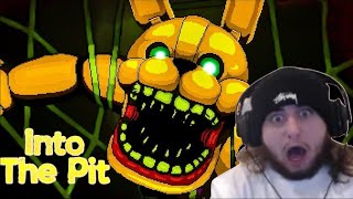 Five Night's at Freddy's - Into the Pit FINALE [+ Reaction to all endings]