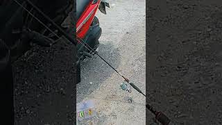 Hati hati dengan ikan ini,,salah pegang fatal,😱😱😱#vidioshort #mancing #viralvideo