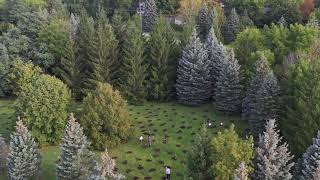 Donations bolster the City’s urban forest with new trees on Rotary Trail (short)